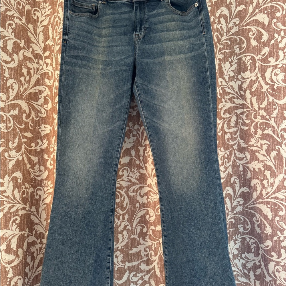 American Eagle Outfitters Blue Flare Wide Leg Jeans